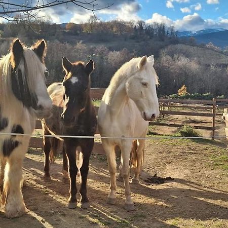 Chambre D'Hotes Le Petit Ranch Bed & Breakfast Los Masos ภายนอก รูปภาพ