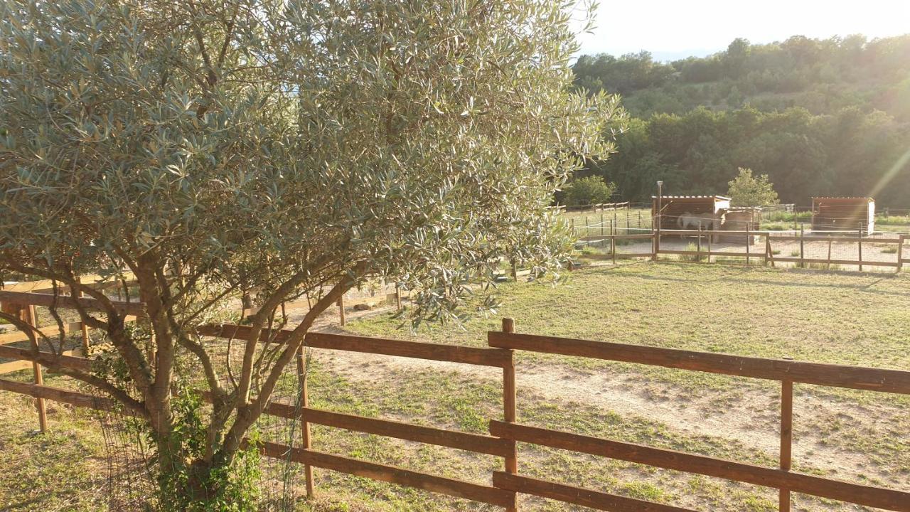 Chambre D'Hotes Le Petit Ranch Los Masos ภายนอก รูปภาพ