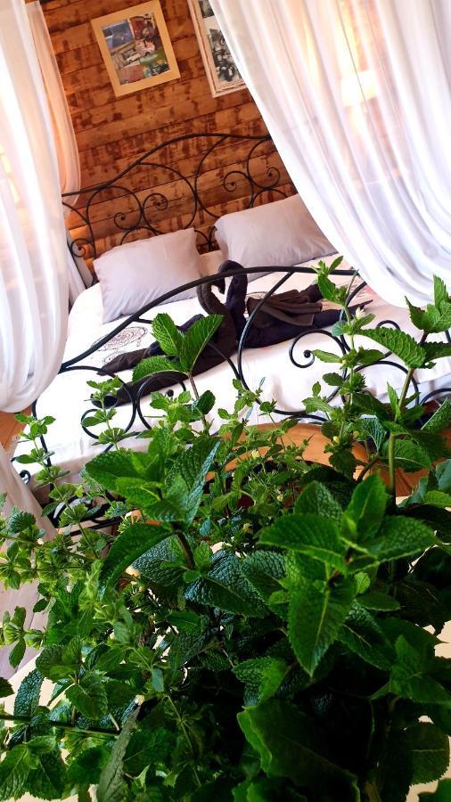 Chambre D'Hotes Le Petit Ranch Bed & Breakfast Los Masos ภายนอก รูปภาพ