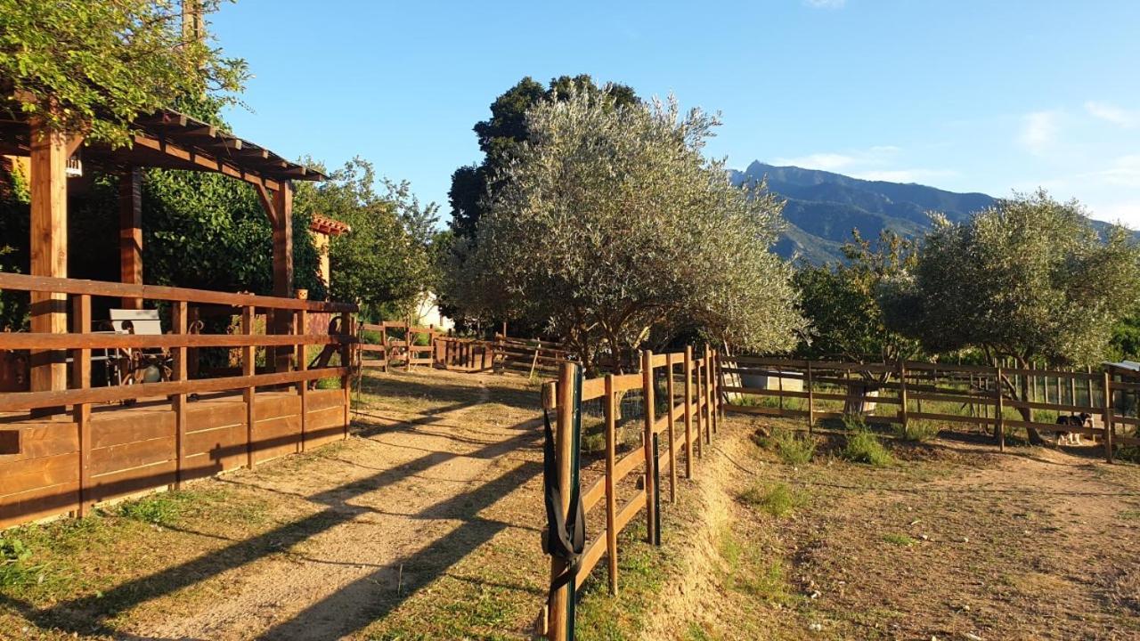 Chambre D'Hotes Le Petit Ranch Los Masos ภายนอก รูปภาพ