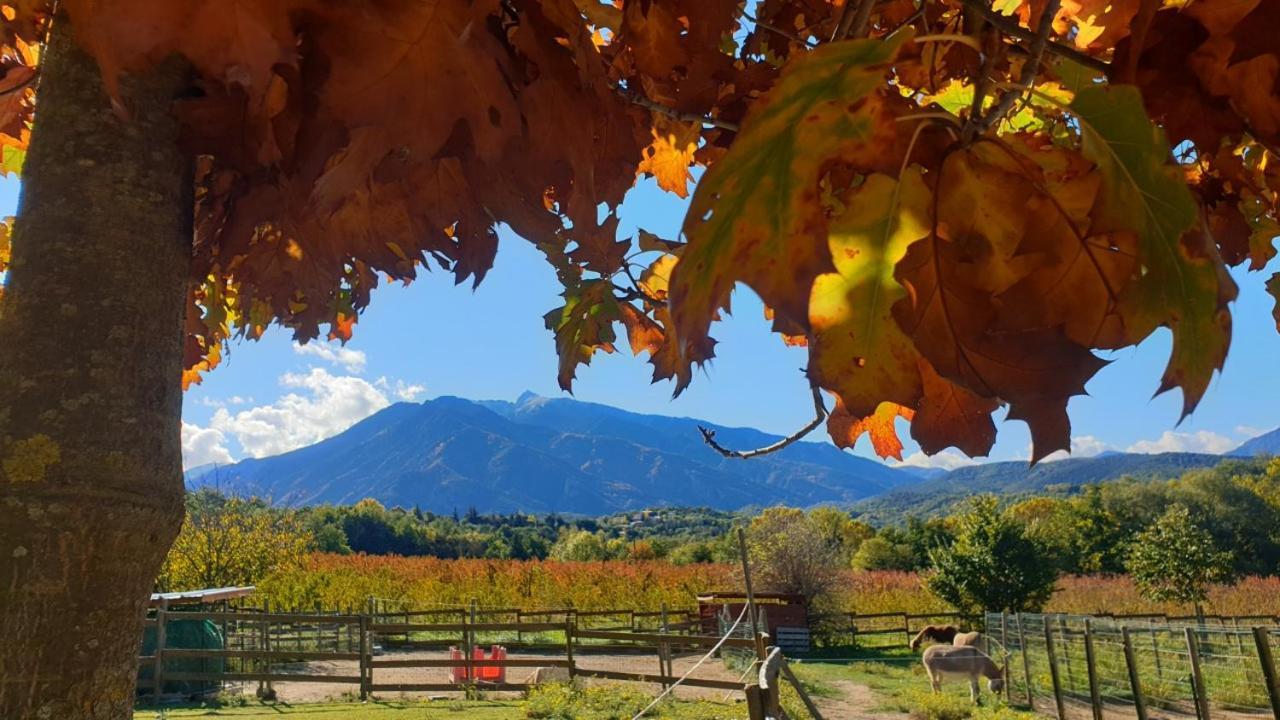 Chambre D'Hotes Le Petit Ranch Los Masos ภายนอก รูปภาพ