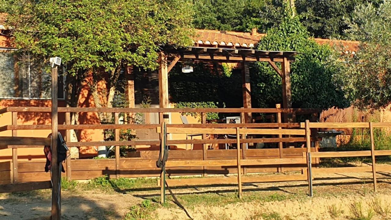 Chambre D'Hotes Le Petit Ranch Los Masos ภายนอก รูปภาพ