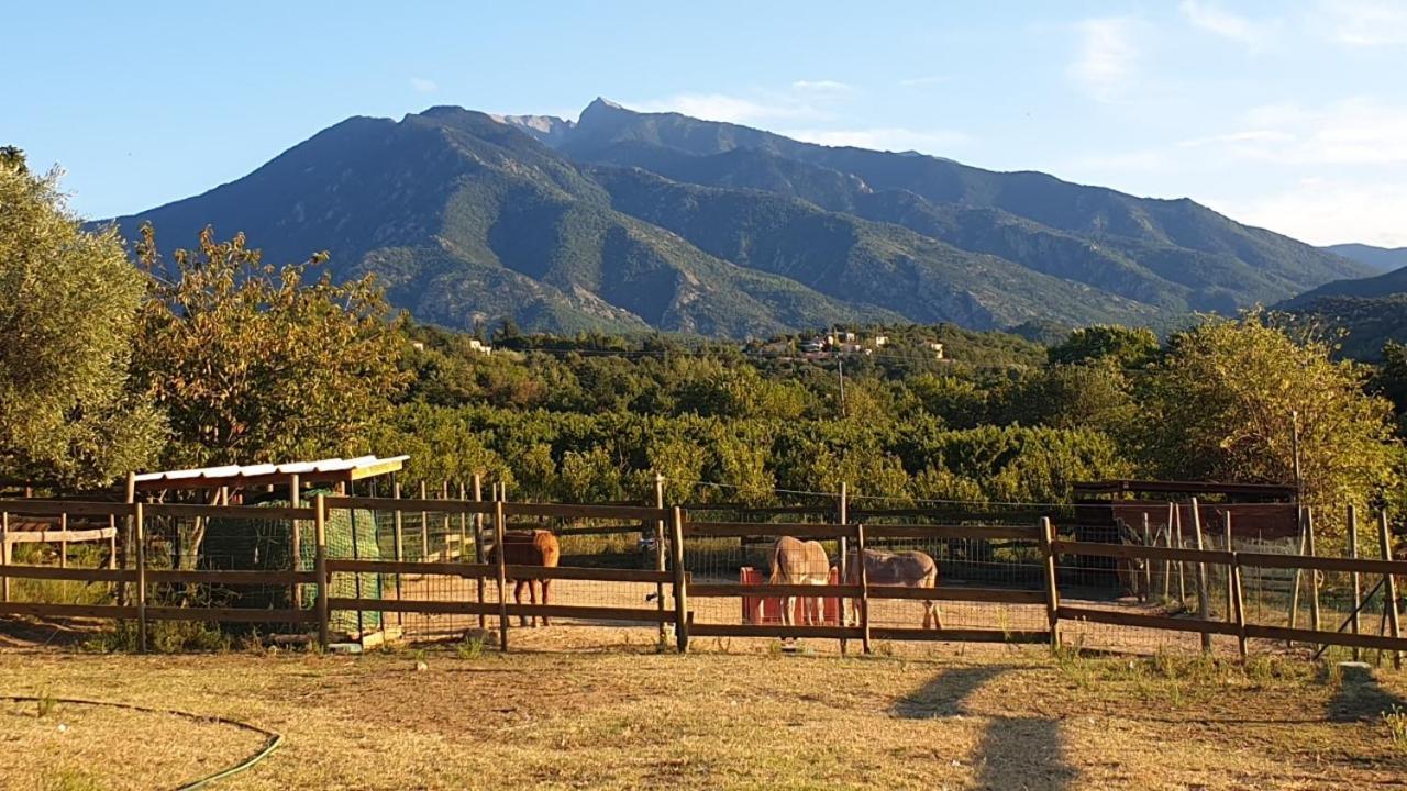 Chambre D'Hotes Le Petit Ranch Los Masos ภายนอก รูปภาพ