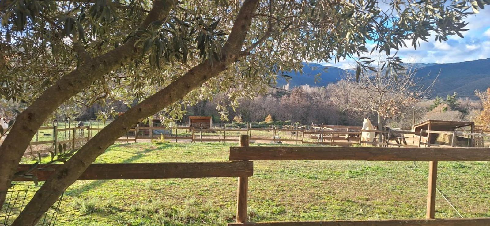 Chambre D'Hotes Le Petit Ranch Los Masos ภายนอก รูปภาพ